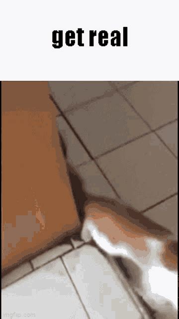 real porn gif|Real Gifs .